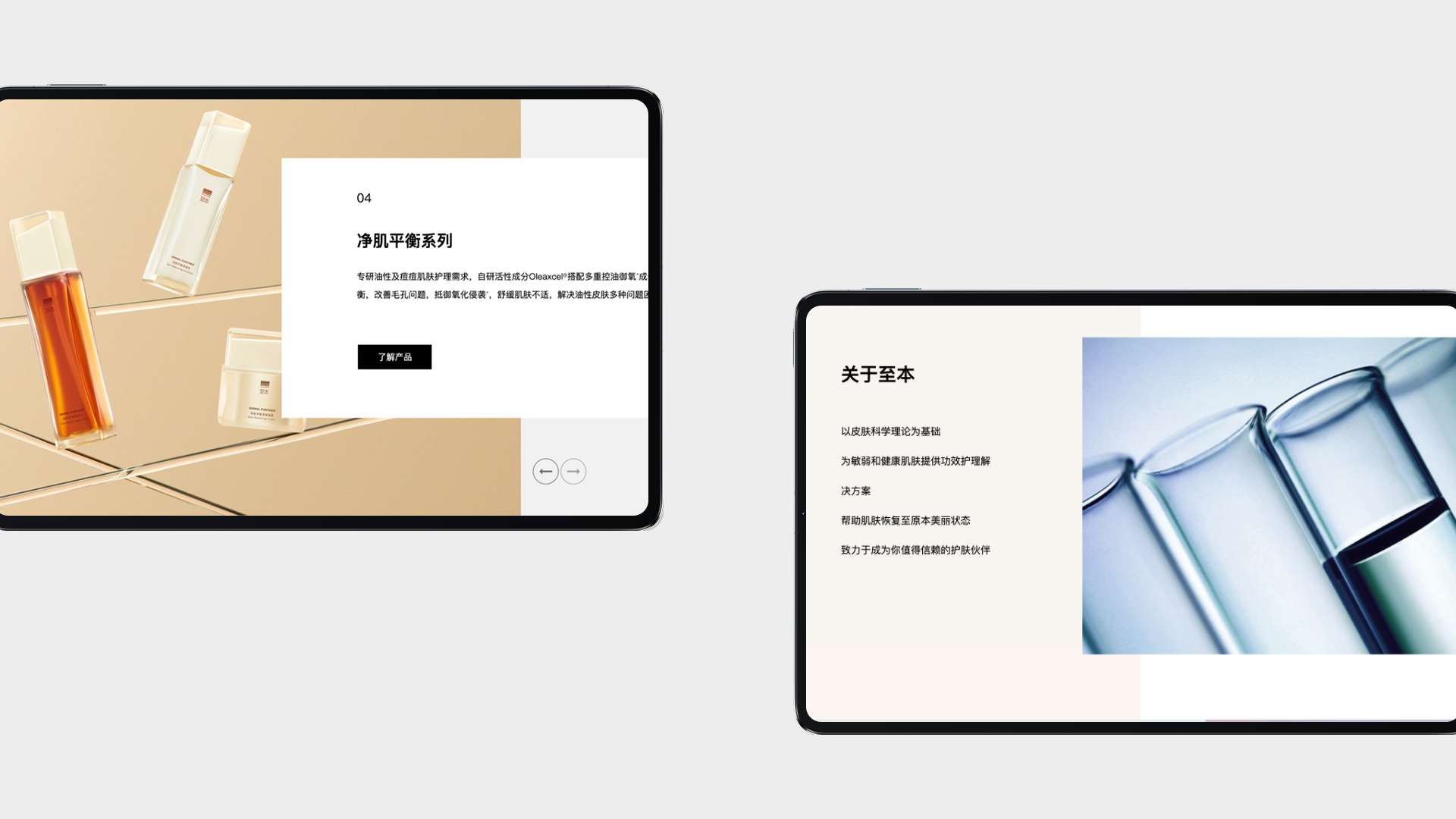 至本官网介绍页面平板端展示